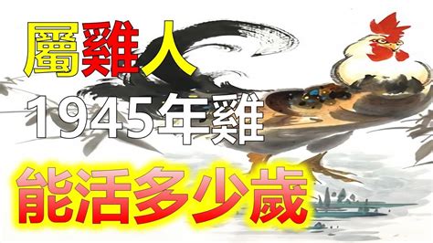 1945 生肖|1945出生属什么生肖查询，1945多大年龄，1945今年几岁